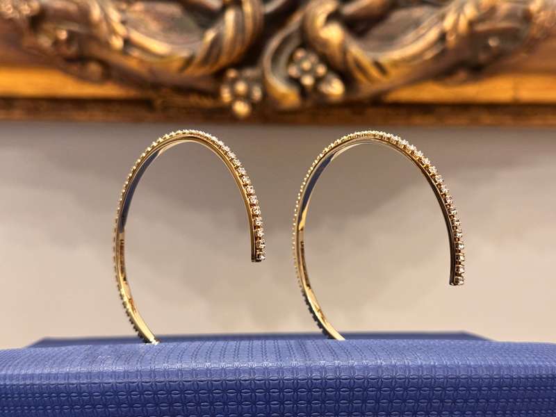 SWAROVSKI Statement Earrings