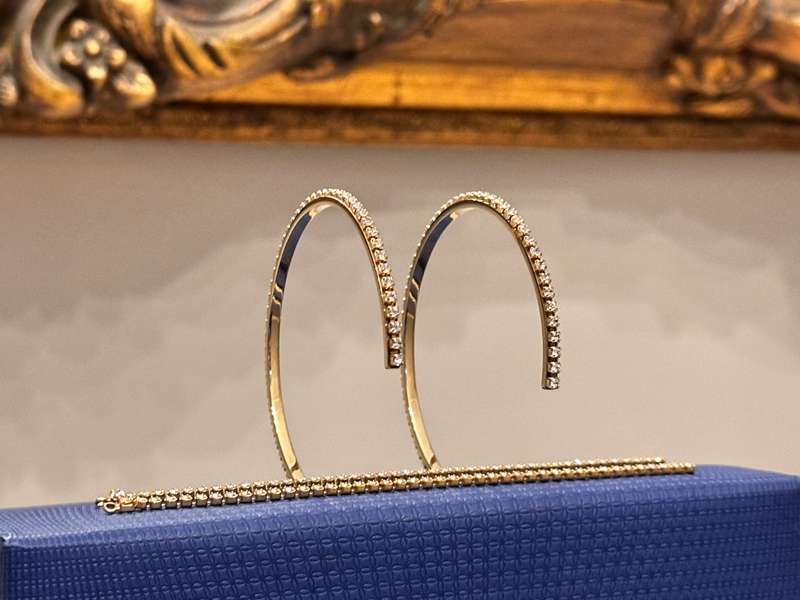 SWAROVSKI Statement Earrings