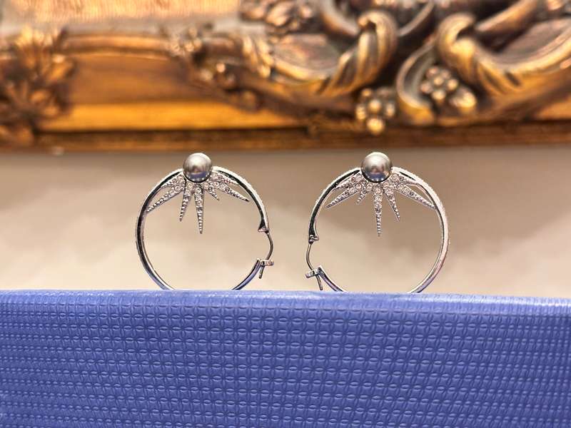 SWAROVSKI Statement Hoop Earrings