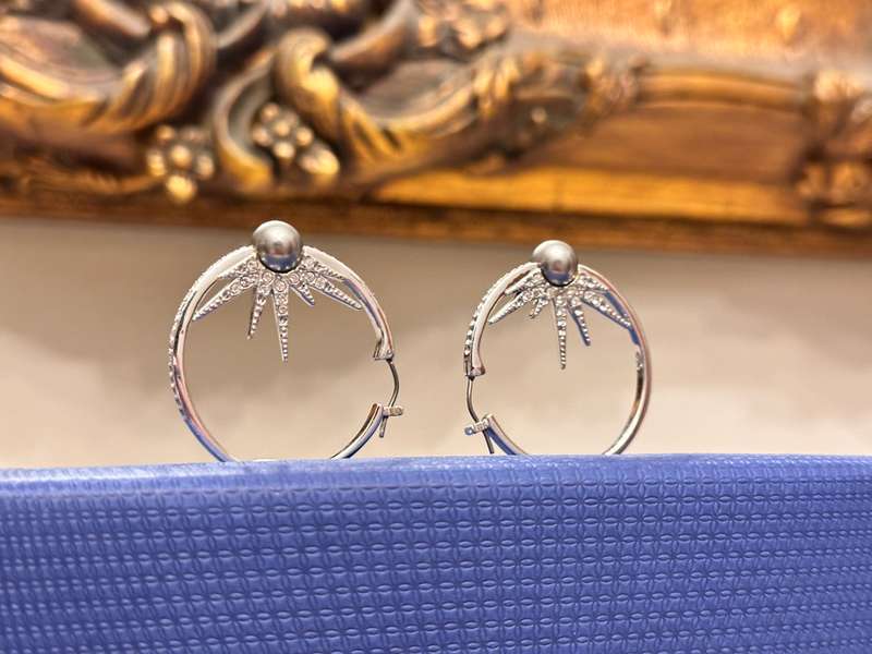 SWAROVSKI Statement Hoop Earrings