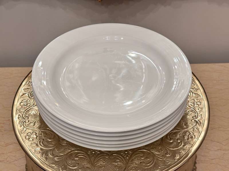 Elegant NORITAKE Dinner Plates- Set of 6