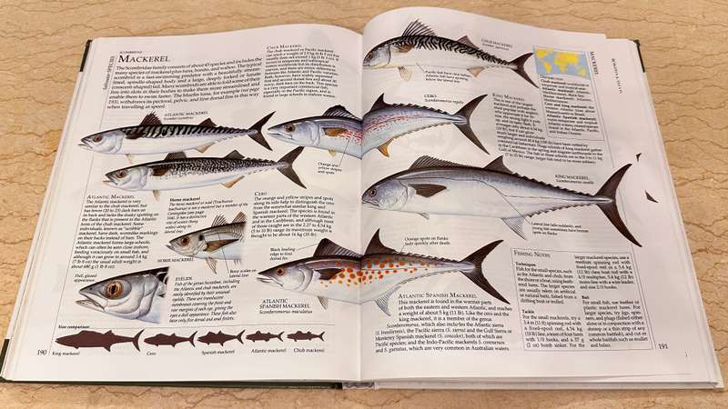 The ENCYCLOPEDIA of FISHING