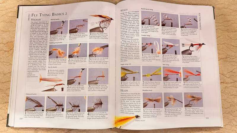 The ENCYCLOPEDIA of FISHING