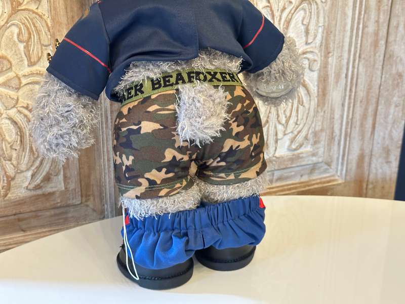 Collectable TATTY Teddy