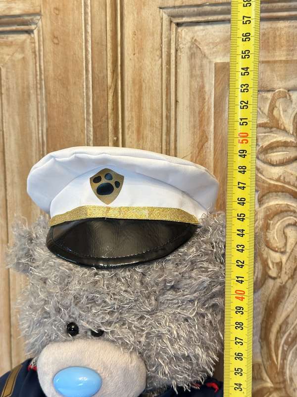 Collectable TATTY Teddy