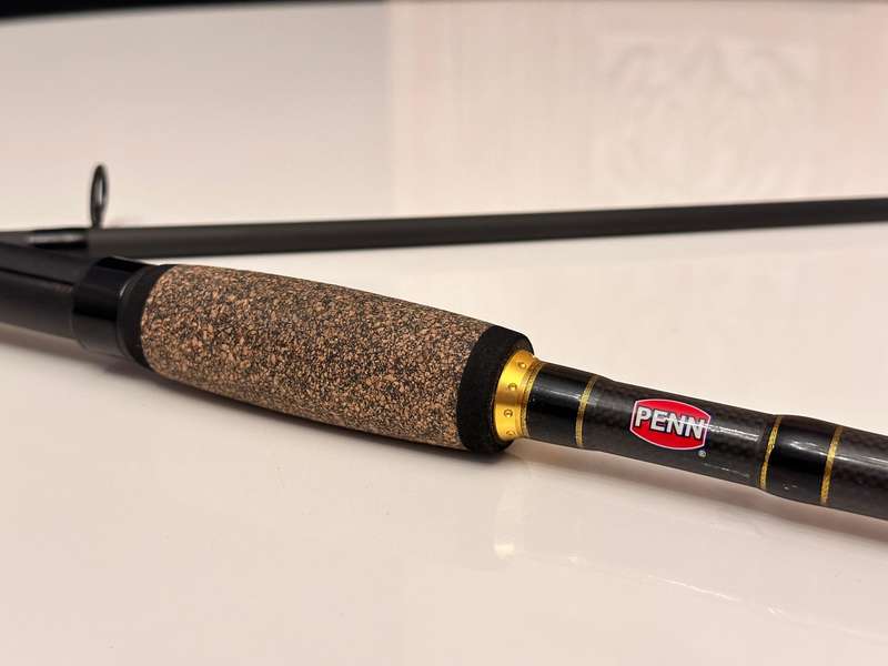 PENN Regiment II Fishing Rod 9ft with Rod Bag