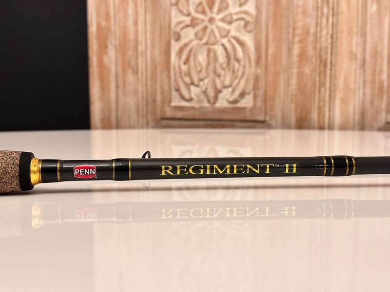 PENN Regiment II Fishing Rod 9ft with Rod Bag