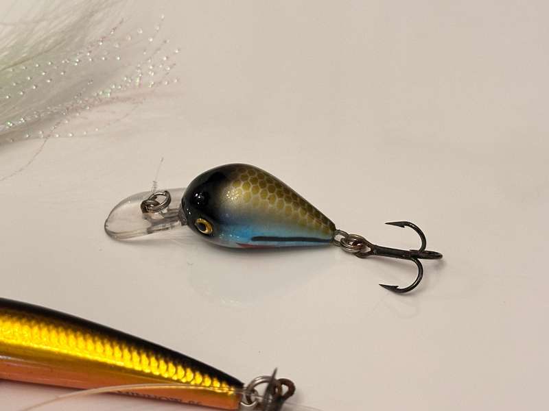 Huge Fishing Lure Selection with Jarvis Walker Lure Tackle Box