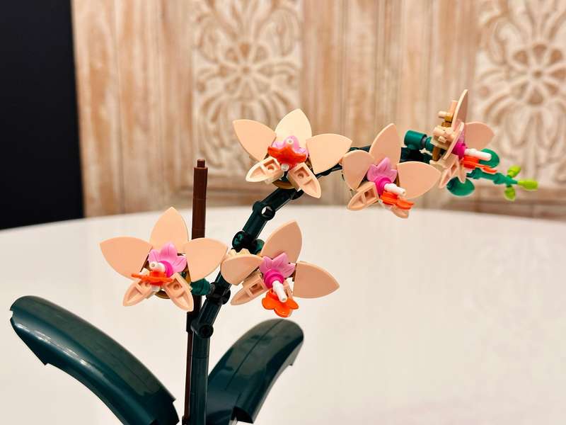 LEGO Botanical Collection Orchid with Original Box