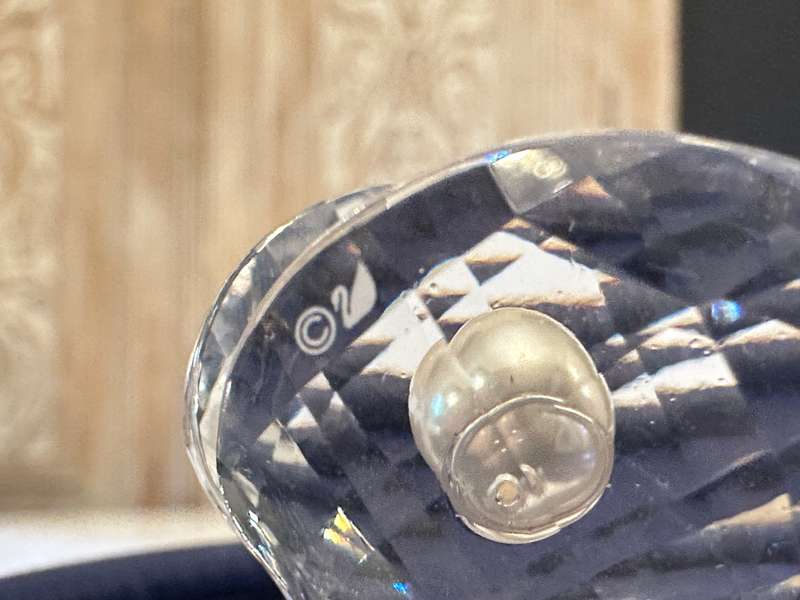 SWAROVSKI Crystal Shell With Pearl Collectable