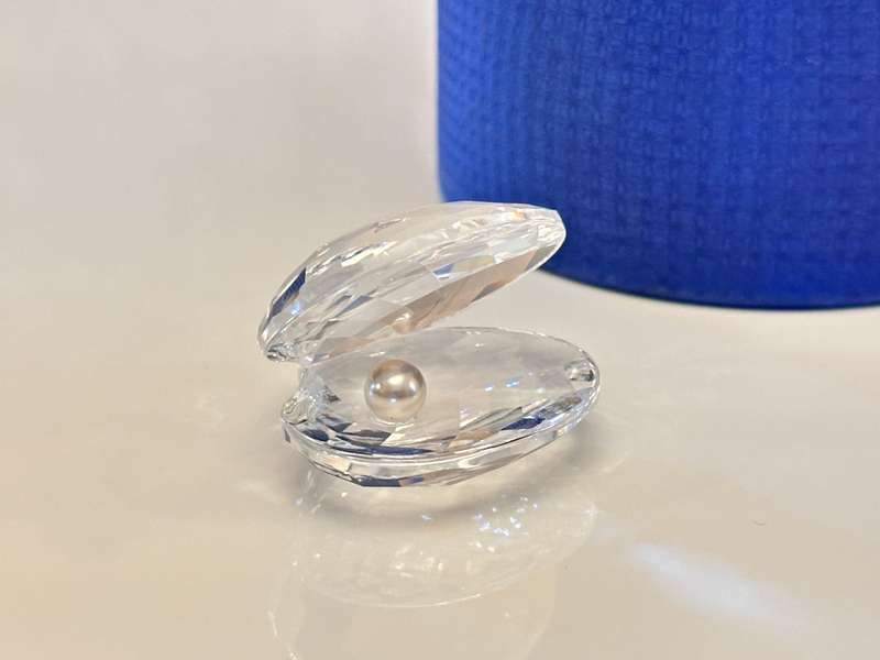 SWAROVSKI Crystal Shell With Pearl Collectable