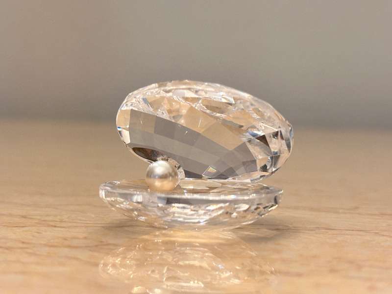 SWAROVSKI Crystal Shell With Pearl Collectable