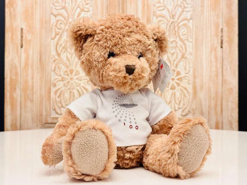 Aston Martin Official 100 Year Anniversary Collectable Teddy Bear