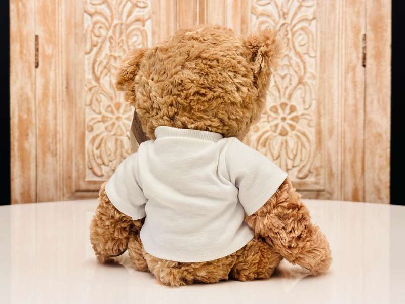 Aston Martin Official 100 Year Anniversary Collectable Teddy Bear