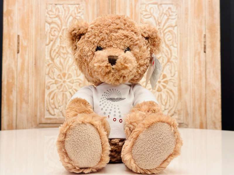 Aston Martin Official 100 Year Anniversary Collectable Teddy Bear