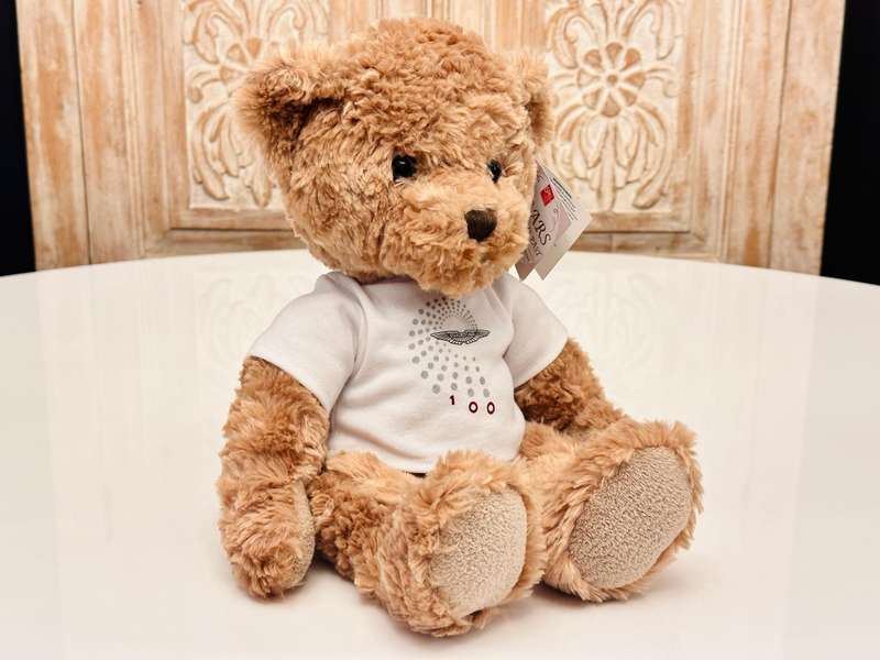 Aston Martin Official 100 Year Anniversary Collectable Teddy Bear