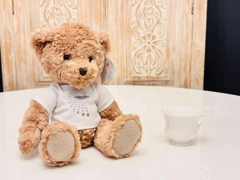 Aston Martin Official 100 Year Anniversary Collectable Teddy Bear