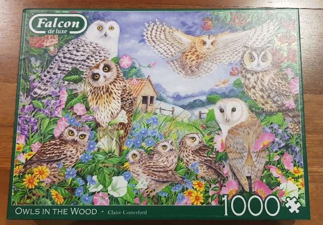 Puzzle 1000 pieces - Owls in the Wood from Falcon