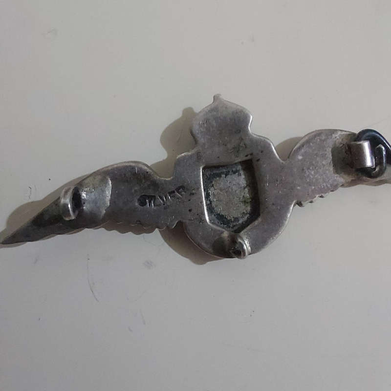 WorldSAAF Navigators Pin
