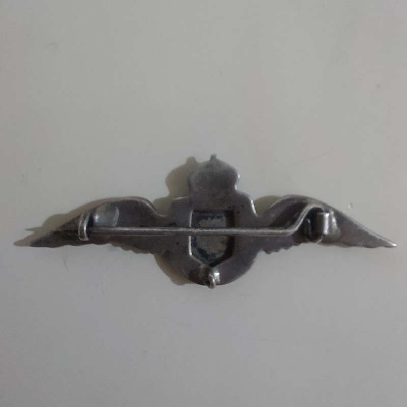 WorldSAAF Navigators Pin