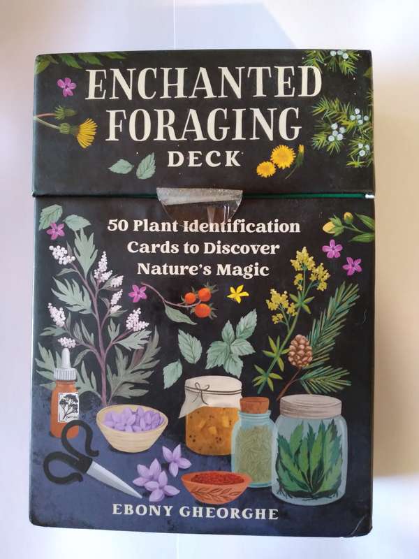 Enchanted Foraging Deck by Ebong Gheorghe - 2024