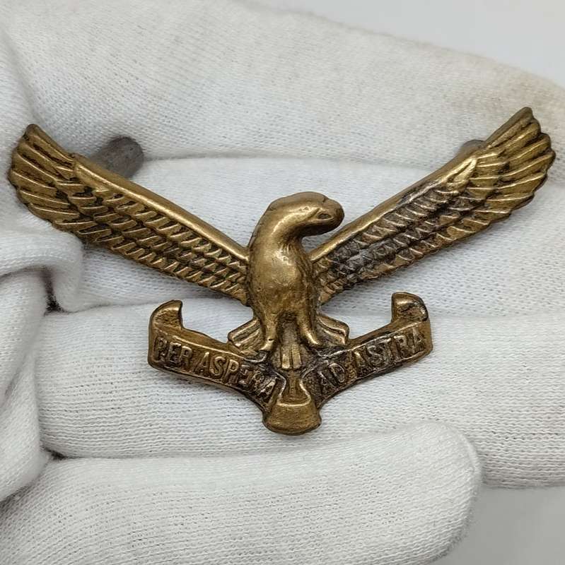 SAAF South African Airforce Cap Badge #M0036