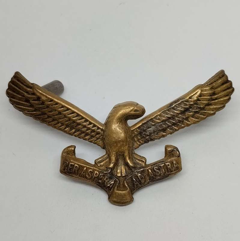SAAF South African Airforce Cap Badge #M0036
