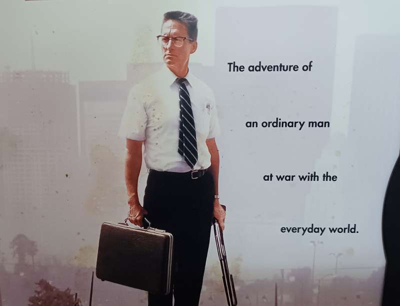 Falling Down (DVD)