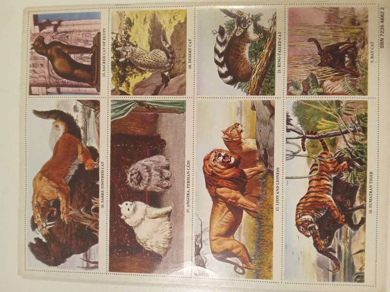 Vintage Stamp Book. The Gallery Stamp Book of Cats.