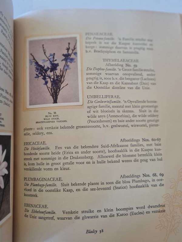 Ons Suid-Afrikaanse Plantegroei Cigarette card album