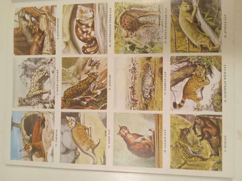 Vintage Stamp Book. The Gallery Stamp Book of Cats.