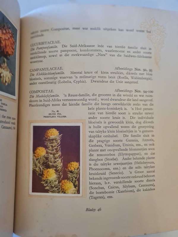 Ons Suid-Afrikaanse Plantegroei Cigarette card album