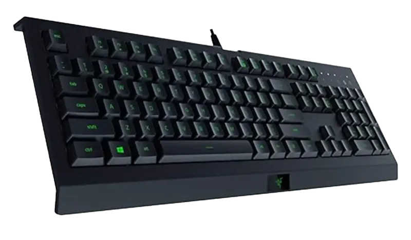 Razer Cynosa Lite Essential Gaming Keyboard