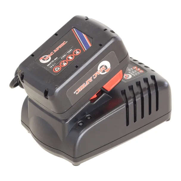 Professional Battery Charger (18 V LI-ION)