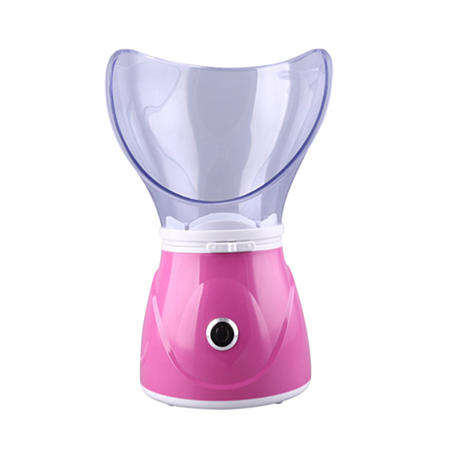 Professional Face Steamer