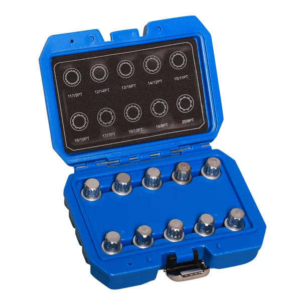 10-Piece BMW Wheel Lock Removal Socket Set