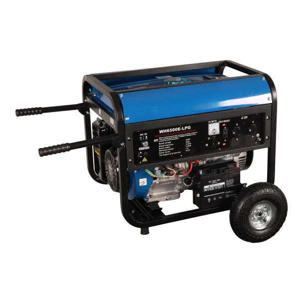 5 kW LPG & Petrol Dual Fuel Generator