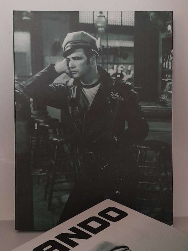 Brando - Collection - 4 Movie Box Set (DVD)