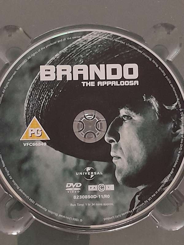 Brando - Collection - 4 Movie Box Set (DVD)
