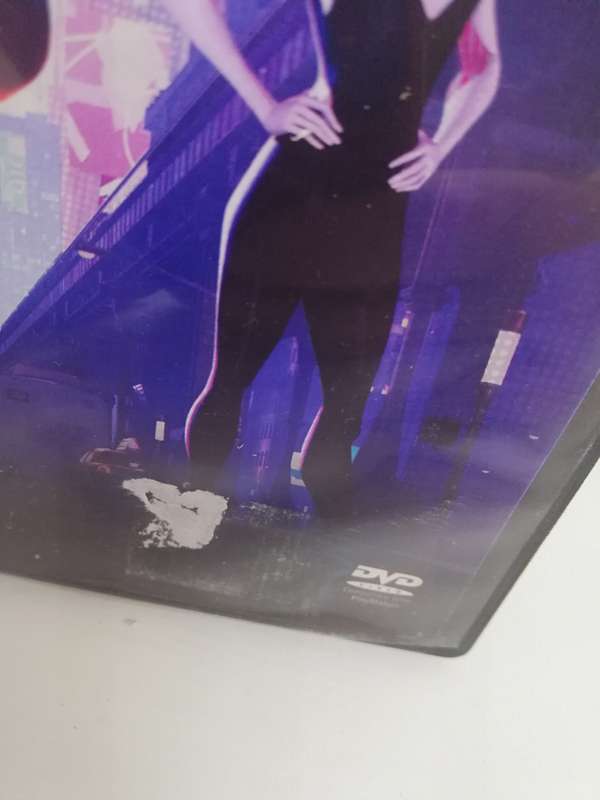 Spiderman - Into the Spider-Verse (DVD)