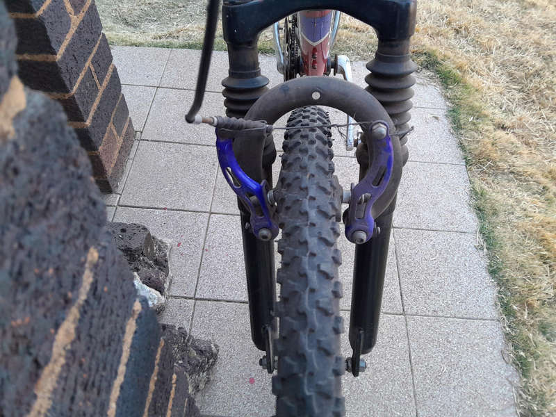 Raleigh mountain bike