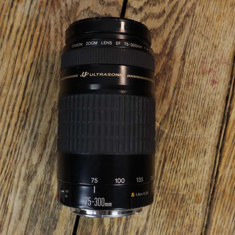 Canon EF 75-300mm f/4-5.6 Ultrasonic Lens - Pre-Owned