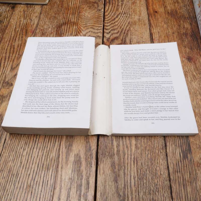 7 Books Collections Authored by LESLEY PEARSE