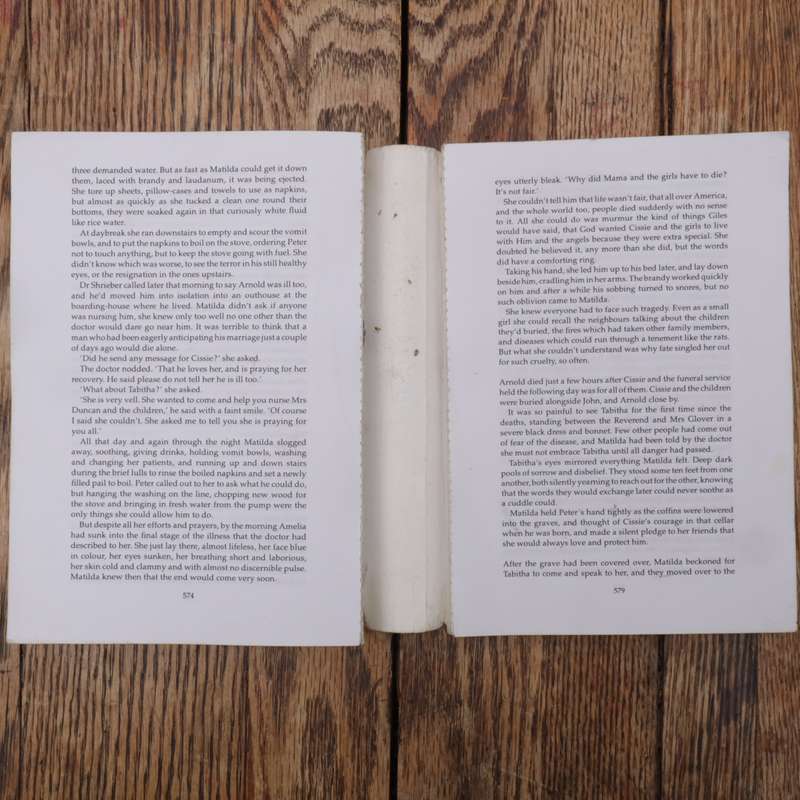 7 Books Collections Authored by LESLEY PEARSE