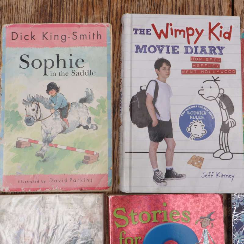 Assorted Children's Story Books