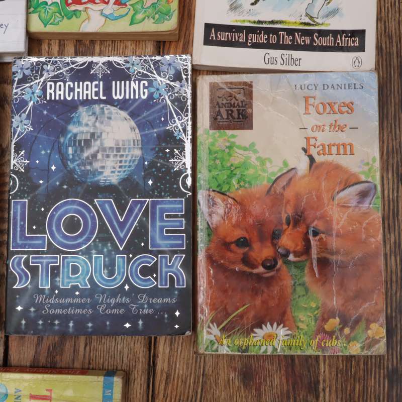 Assorted Children's Story Books