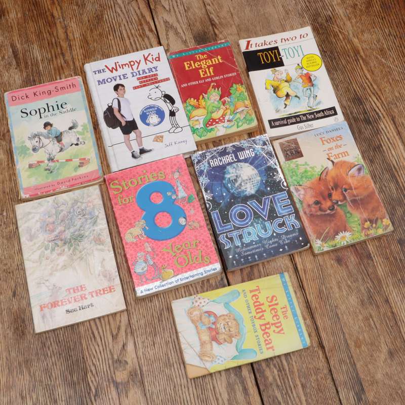 Assorted Children's Story Books
