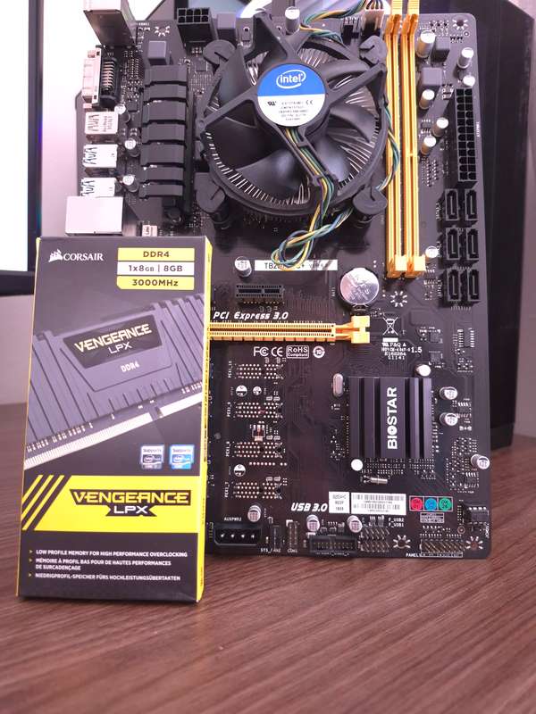 Biostar TB250 Combo