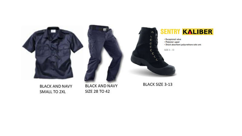 clothing combo security