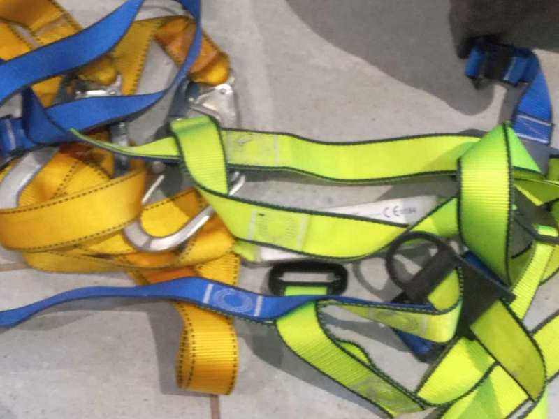 Pinical safety harness